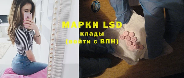 mdpv Каменногорск