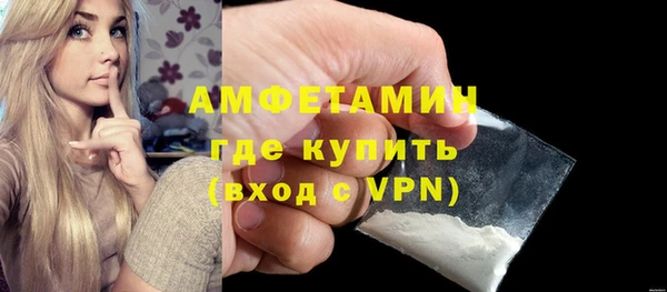 молекула духа Каменка