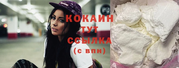 молекула духа Каменка