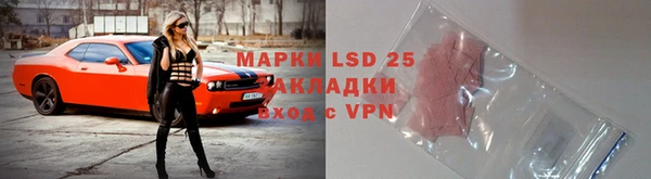 молекула духа Каменка