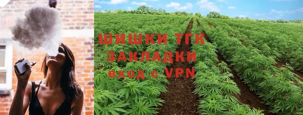 ALPHA-PVP Инсар
