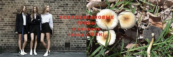 прущая мука Каменск-Шахтинский