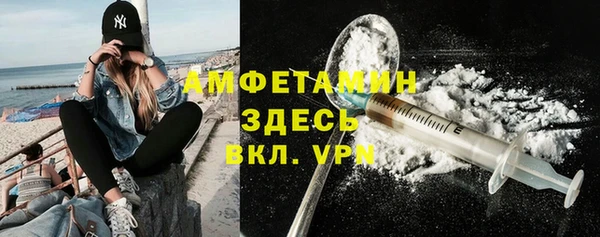молекула духа Каменка