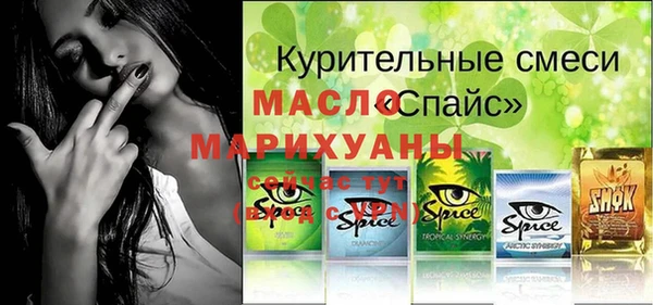 винт Инта