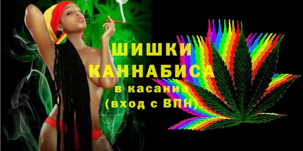 винт Инта