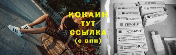 винт Инта